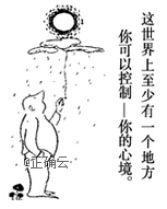 www.xiangpi.com