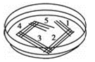 www.xiangpi.com
