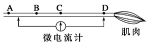 www.xiangpi.com