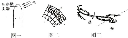 www.xiangpi.com