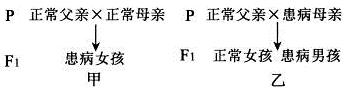 www.xiangpi.com