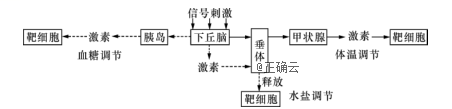 下丘脑在人体部分生命活动的调节过程中发挥着重要作用,如下图所示.