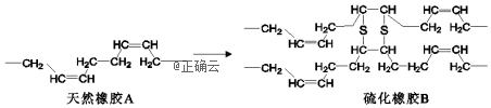 天然橡胶在硫化过程中高分子结构片段发生如下变化,下列说法不正确的