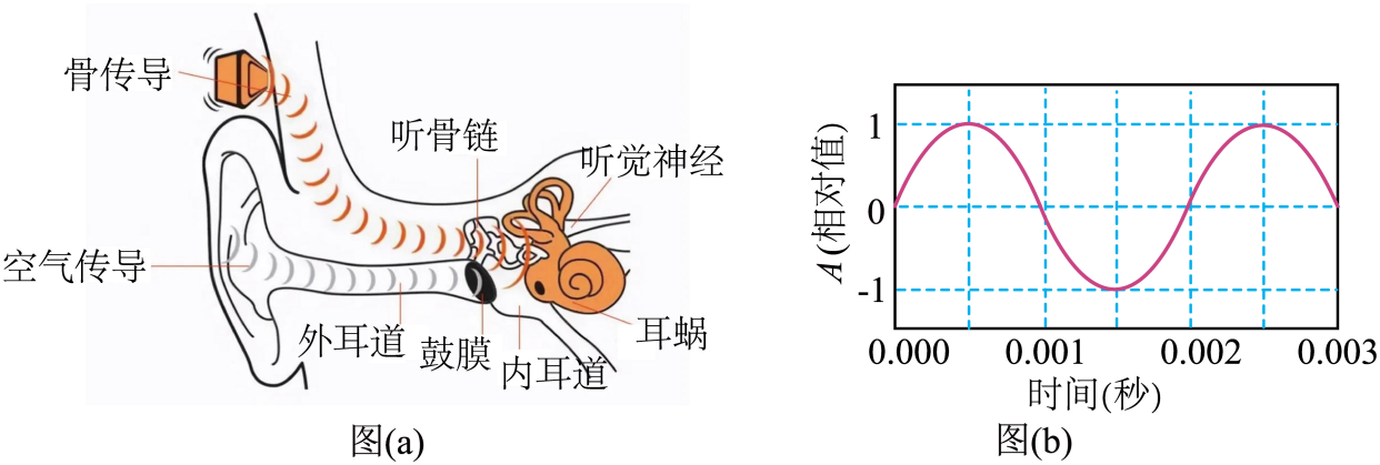 (b)所示,振幅为 a,声音在空气中传播的速度为 。下列说法正确的是( )