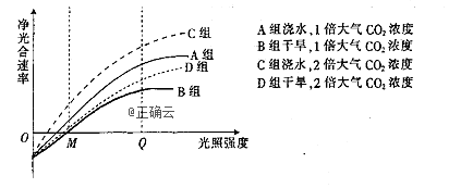 下图是在不同实验条件下,棉花植株净光合速率的变化曲线图.