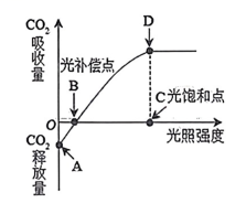 光饱和点图图片