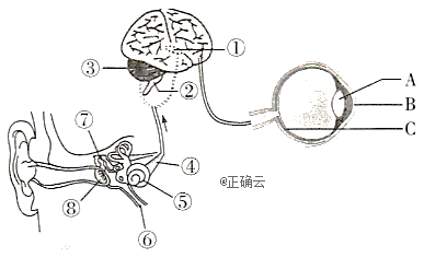 英语考试时,同学们都需要认真进行听力测试.